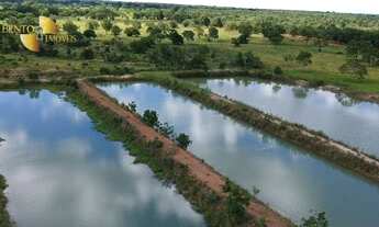 Imagem: Fazenda à venda, 540 m² por R$ 7.500.000,00