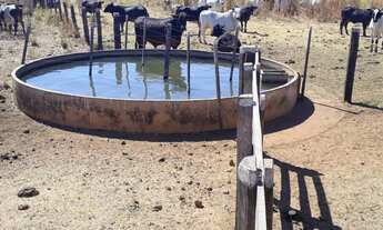 Imagem 6: EXCELENTE FAZ. MUNI. DE SANTO ANTÔNIO DO LESTE