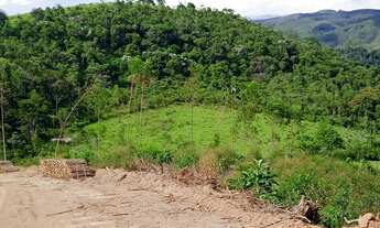 Imagem 3: Lote/Terreno para venda com 1000 metros quadrados em Quiririm - Taubaté - SP