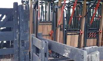 Imagem: Fazenda a 30km de Poxoréo à venda, m²