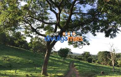 Imagem 9: Fazenda a venda de 68 alqueires para pecuária na região de Caldas Novas GO