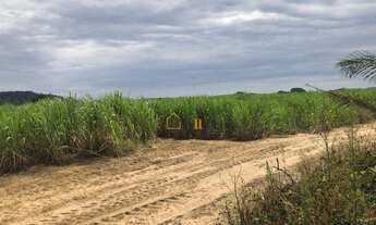 Imagem: Oportunidade área em Cajuru 25 alqueires