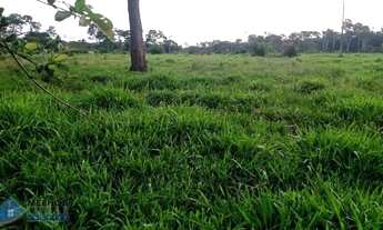 Imagem: Sítio 30 alqueires Jaru