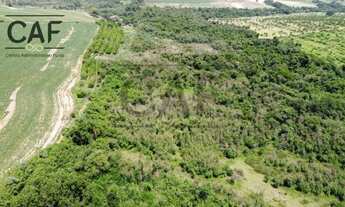 Imagem 4: Sítio à venda, 20000 m² por R$ 700.000 - Palmeirinha - Holambra/SP