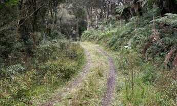 Imagem 5: Urubici/Sítio/Chácara á venda de 3.0 Hectares