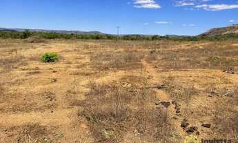 Imagem 7: Fazenda à venda, 140 Hectares em Porto Nacional/TO