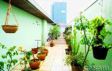 Imagem 4: Cobertura Residencial à venda, Vila Baeta Neves, São Bernardo do Campo - CO2271