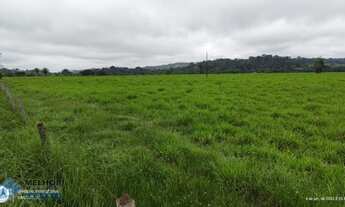 Imagem 7: Fazenda 198 alqueires Região de Cacaulândia
