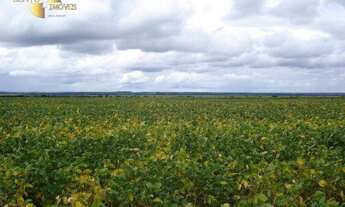 Imagem 7: Fazenda em Rondonópolis à venda, m² por R$ 28.000.000 - Zona Rural - Rondonópolis/MT