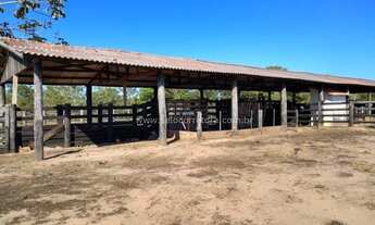 Imagem: OTIMA FAZENDA EM CAPOS DE JULIO