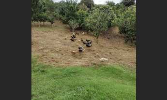 Imagem: Sítios à venda em Jundiaí/SP - Compre