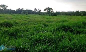 Imagem 3: Sítio 30 alqueires Jaru