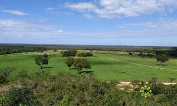 Imagem: Fazenda à venda, 220 Hectares - Zona Rural