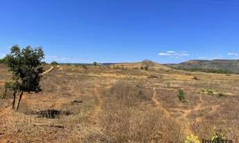 Imagem 5: Fazenda à venda, 140 Hectares em Porto Nacional/TO