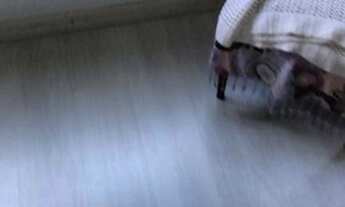 Imagem 7: Apartamento térreo e mobiliado