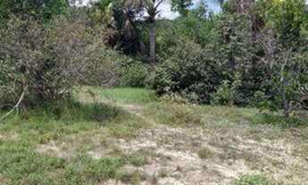 Imagem: FAZENDA DE 2.230 HECTARES PARA IRRIGAÇÃO