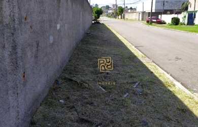 Imagem 5: Terreno à venda, 5000 m² por R$ 5.800.000,00 - Centro - Pinhais/PR