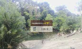 Imagem 7: Fazenda Extra ! 597 Alqueires ! Região de Cocalinho-GO !