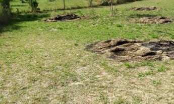 Imagem 5: Lote/Terreno para venda tem 450 metros quadrados em Praia do Rosa - Imbituba - Santa Catar