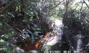 Imagem: 2117 Extraordionário Terreno De 35,6 Ha