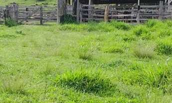 Imagem 5: Sitio 80 Alqueires Região de Cacaulândia