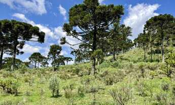 Imagem 5: CONSTRUA SUA CHÁCARA EM URUBICI!