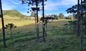 Imagem 4: Chácara - Campo Alegre/SC