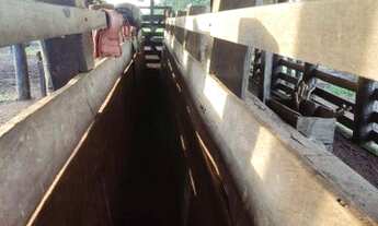 Imagem 6: Fazenda aberta à venda, 1.450 Hectares em Pium do Tocantins