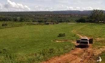 Imagem 7: Fazenda à venda, 8000000 m² por R$ 6.800.000,00 - Zona Rural - Poxoréu/MT