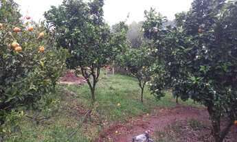 Imagem 3: Sítio de 2.6 hectares em Gramado com Vísta