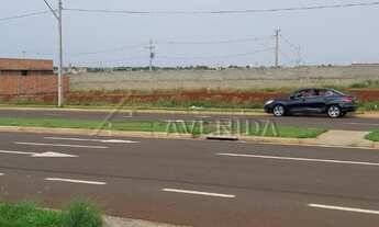 Imagem 7: LONDRINA - Terreno Padrão - Gleba Simon Frazer