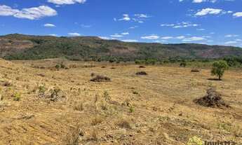 Imagem 3: Fazenda à venda, 140 Hectares em Porto Nacional/TO