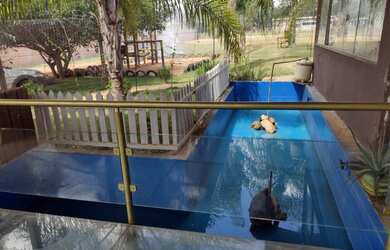 Imagem 7: Linda chácara em Planaltina-DF para eventos, fica em um terreno de 5 mil metros, 890,000