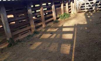 Imagem 7: Fazenda com 3 dormitórios à venda, 7000 m² por R$ 2.500.00 - Rural - Itamonte/Minas Gerais