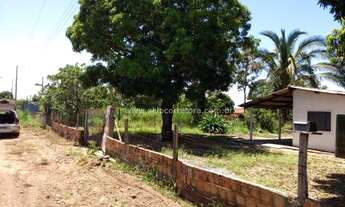 Imagem 7: Chacrinha no Muni de Cuiabá -MT