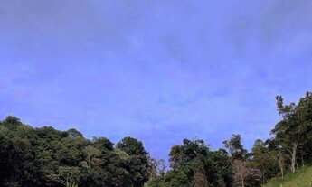 Imagem 3: Sítio com 3 dormitórios à venda, 230000 m² por R$ 1.800.000,00 - Centro - Campestrinho/SP