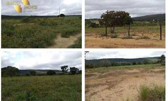 Imagem 7: LEILÃO DE 50% DE 2 FAZENDAS EM: Zona Rural - Cáceres/MT