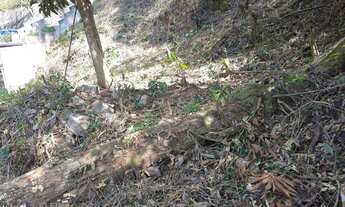 Imagem 7: Terreno à venda, 495 m² por R$ 130.000,00 - Parque Dom João VI - Nova Friburgo/RJ