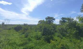 Imagem 4: EXCELENTE FAZENDA NO MUNI. NOSSA SENHORA DO LIVRAMENTO