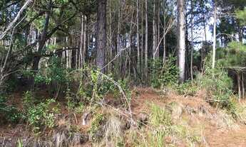 Imagem 2: Terreno - Condomínio Quero Quero