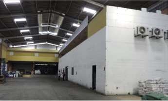 Imagem 3: Galpão/Depósito/Armazém para venda tem 7600 metros quadrados em Campina do Barreto - Recif