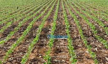 Imagem: Fazenda a venda - área rural