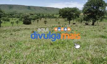 Imagem 7: Fazenda de 36 alqueires para pecuária na região de Formosa GO