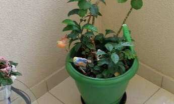 Imagem 5: Apartamento com 3 dormitórios à venda, 72 m² - Jardim do Mar - São Bernardo do Campo/SP