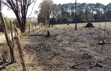 Imagem 5: Terreno espaçoso, ao lado do Parque da Grama