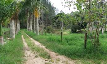 Imagem 3: Pedra Azul - vendo Sitio com 48 hectares em Domingos Martins ES