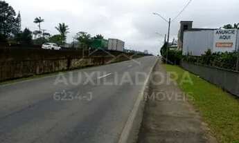 Imagem 3: Área Comercial Marginal Sul BR 101