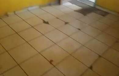 Imagem 2: 650,00 não paga luz nem agua