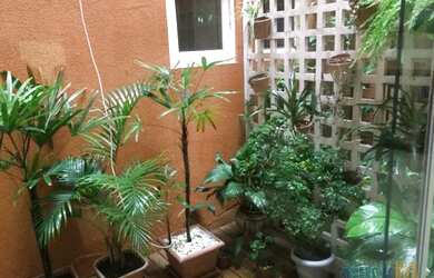 Imagem 2: CANOAS - Casa Padrão - Marechal Rondon