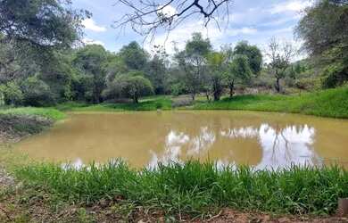Imagem 7: Fazendinha para Venda em Cachoeiras de Macacu, Papucaia, 2 dormitórios, 1 suíte, 2 banheir